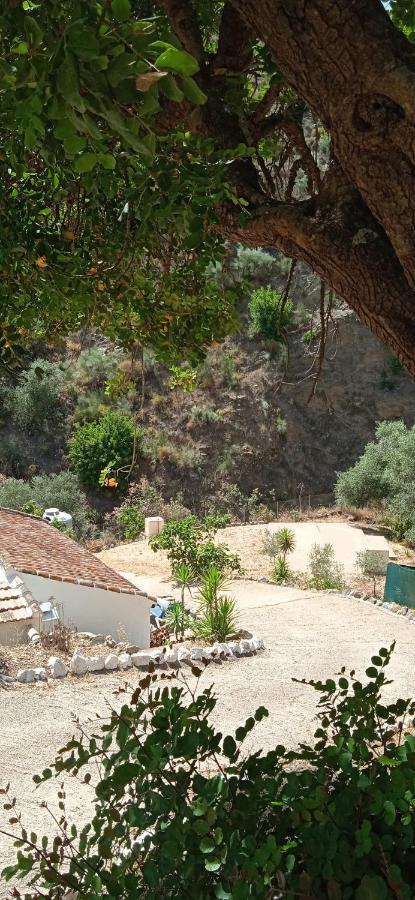 Morales Cottage Almogia Bagian luar foto